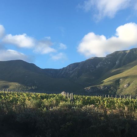 Misty Mountains Vila Hermanus Exterior foto