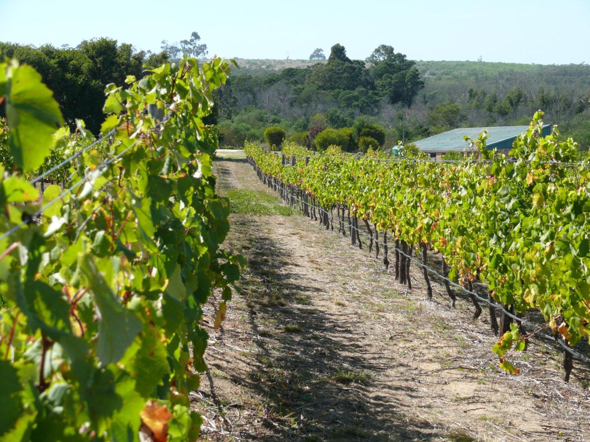 Misty Mountains Vila Hermanus Exterior foto