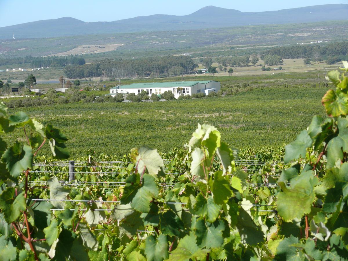 Misty Mountains Vila Hermanus Exterior foto