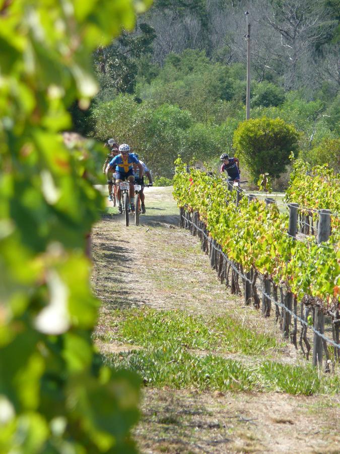 Misty Mountains Vila Hermanus Exterior foto